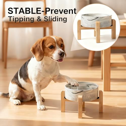 Elevated Raised Ceramic Dog Bowl with Bamboo Stand (Marble Gray / Large)