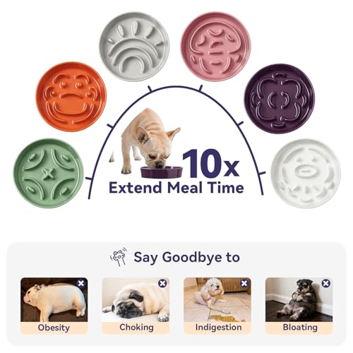 Ceramic Slow Feeder Dog Bowl (Grey / Small without Stand)