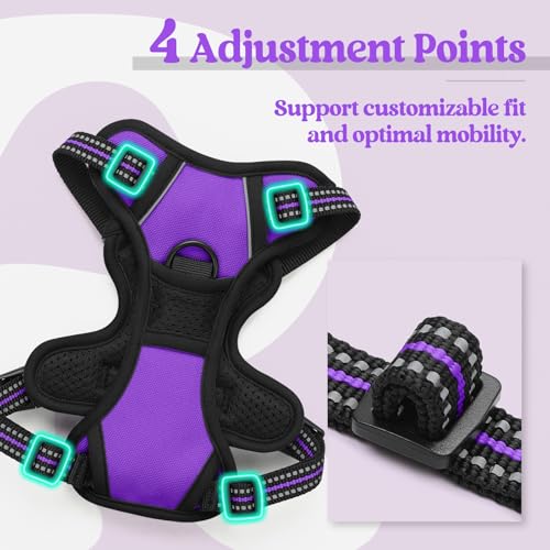 Dog Harness No Pull with 2 Leash Clips (X-Small / Purple)