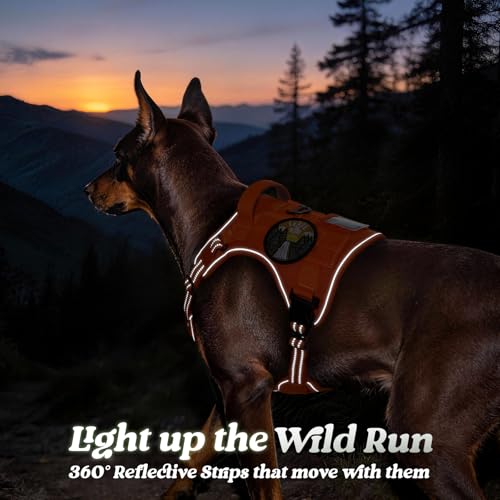 Tactical Dog Harness for Large Dogs (L(Chest:22"-37",Neck:21.1"-30.3",Back:8.3") / Orange)
