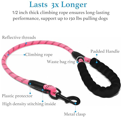 Double Dog Leash (Pink / Large)