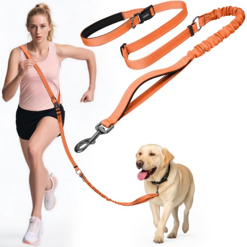 Hands Free Dog Leash by Kazazoo (ORANGE Bungee / M)