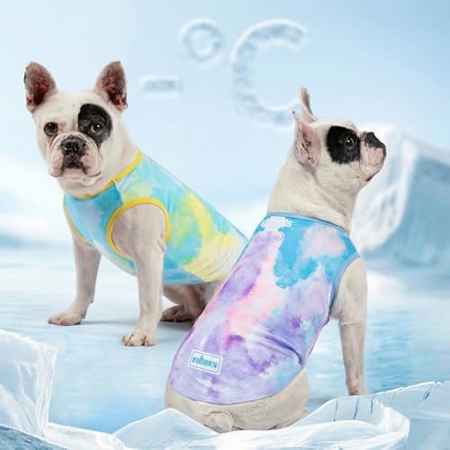 2Pack Dog Shirt for Small Dogs Soft Breathable T (Medium (7-13lbs) / Purple+Blue)