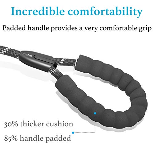 Double Dog Leash (Black / Medium)
