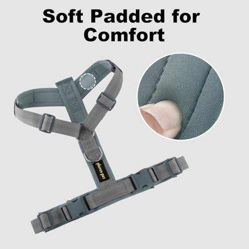 No Pull Dog Harness (XL / Gray)