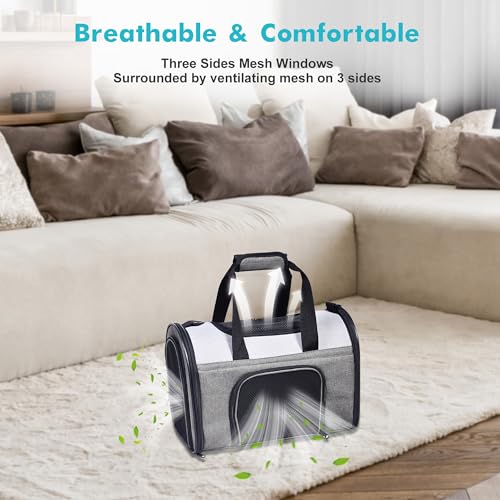 Airline Approved Soft (16.0"L x 10.0"W x 11.0"H / Smoke Grey)