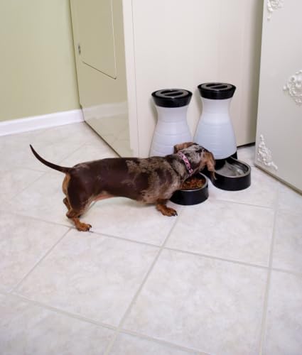 Healthy Pet Water Station (Waterer / Medium)