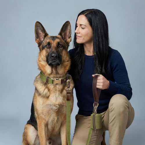 PU Leather Dog Leash for Large Dogs (Olive Green / 1"x 6FT)