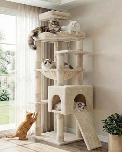 64.2" Heavy Duty Cat Tree for Large Cats with Wide Base HCT027M (64.2 inch / Beige)
