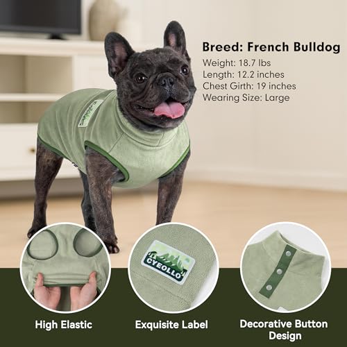 Fleece Dog Sweater (Small / Green)
