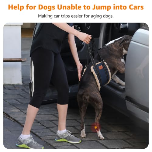 Dog Lift Harness for Large Dogs Hind Leg Support for Weak Rear Legs (Dark Blue&Apricot / Large)
