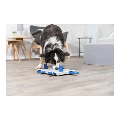 Move-2-Win, Level 3, blue and white (32025) (Move-2-Win / Level 3)