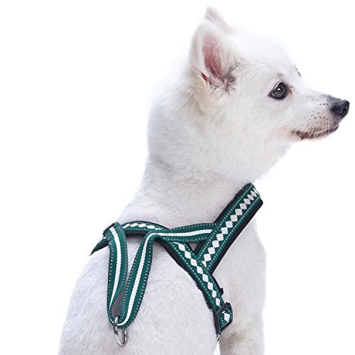 6 Colors Soft & Comfy Jacquard Padded Dog Harness (Large(25.5" - 31.5") Chest Girth / Teal Blue)