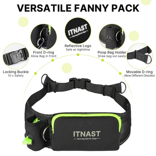 Hands Free Dog Leash for 2 Dogs (for Two Dogs / Black/Green)