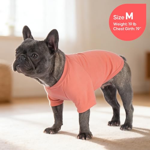 2Pack Dog Sweater with Sleeves Fleece Shirt for Small Dogs (Medium (8.5-13lbs) / 03# 2Pack(Orange+Stripe))