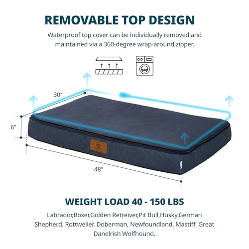 Orthopedic Memory Foam XXL Dog Bed (48.0"L x 30.0"W x 6.0"Th / Navy Blue)