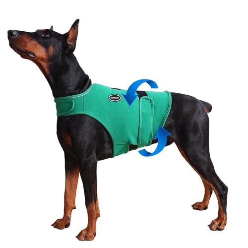 Dog Anxiety Vest (2XL-Chest(26"-36") / Green)