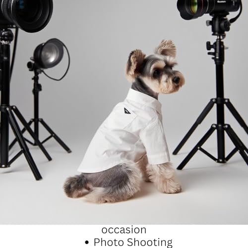 Luxury Pet Dress Shirt for Dogs & Cats (XX-Large 18.8–24.3 lbs)