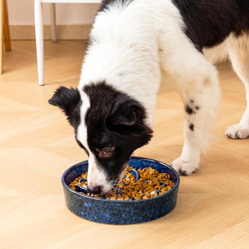 Ceramic Slow Feeder Dog Bowls (L-3 Cups / Blue)