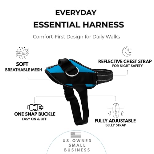 Essential Dog Harness (Oceanic Blue / XS)