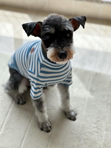 Turtleneck Dog Shirt Cute Doggie Embroidery Super Soft Dog Sweatshirt Stretchy Striped Puppy Pullover for Cats Small Medium Large Dogs (Blue Striped / X-Small)