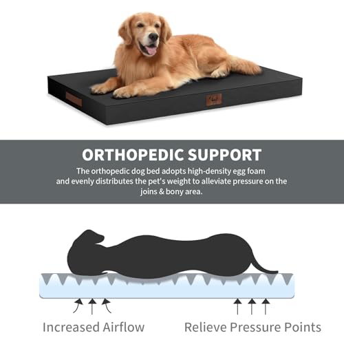 Orthopedic Waterproof Dog Bed for Small Dogs and Cats (Black / 29.0"L x 18.0"W x 3.0"Th)