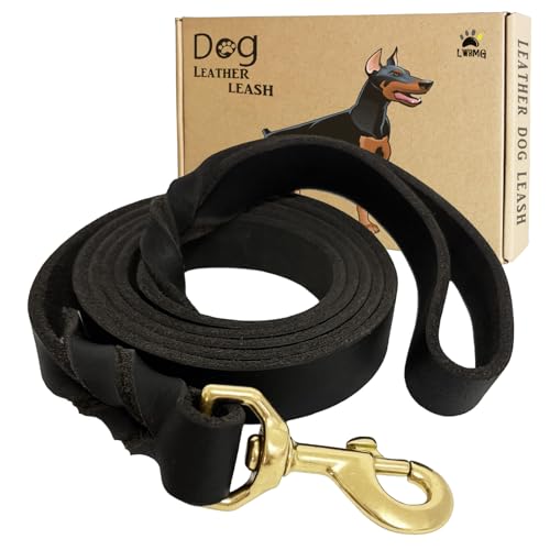Leather Dog Leash 6ft x 1 inch (6 ft x 1 inch / Black)