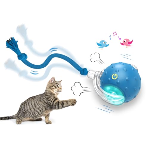 Interactive Cat Toys Ball for Indoor Cats Fast Rolling on Carpet
