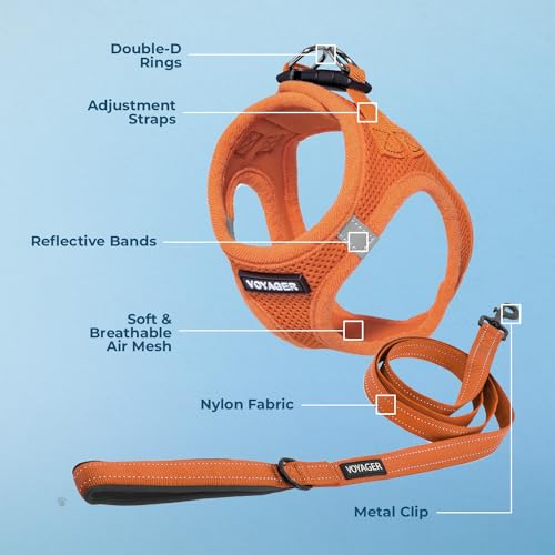Voyager Step in Air All Weather Mesh Harness and Reflective Dog 5ft Leash Combo with Neoprene Handle (Harness Leash Set (Orange) / S (Chest: 14.5 - 16"))