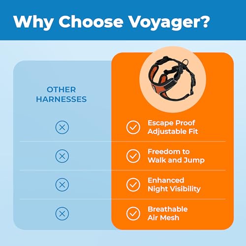 Voyager Escape (Black Trim-Orange (327) / XXXS (Chest: 10.5 - 13"))