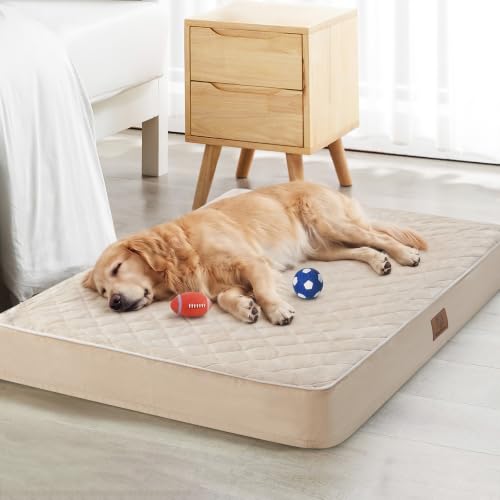 Orthopedic XXL Dog Beds for Large Senior Dog Bed Comfy Sleeping (Beige / 55"L x 42"W x 4"Th)