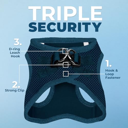 Voyager Step in Air All Weather Mesh Harness and Reflective Dog 5ft Leash Combo with Neoprene Handle (Harness Leash Set (Blue) / M (Chest: 16 - 18"))