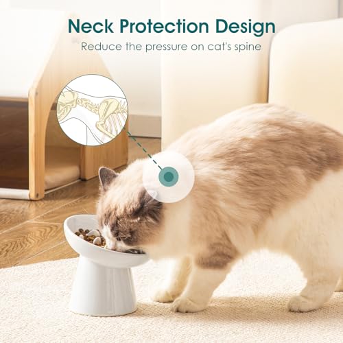 Ceramic Slow Feeder Cat Bowl (White)