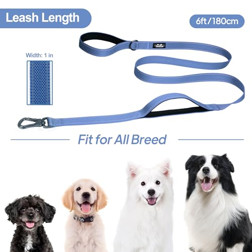 6FT 1IN Heavy Duty Dog Leash for Large Dogs with 2 Padded Handles (Ultramarine / 1 in x 6 ft)