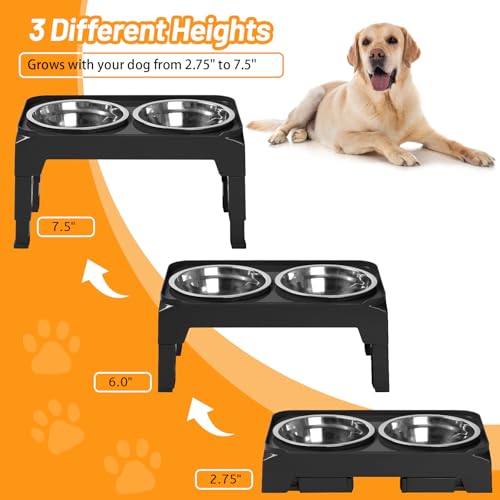 Elevated Dog Bowls with 2 Stainless Steel Dog Food & Water Raised Bowls with No Spill Edge Non (S (6" for Small Dogs) / Black)