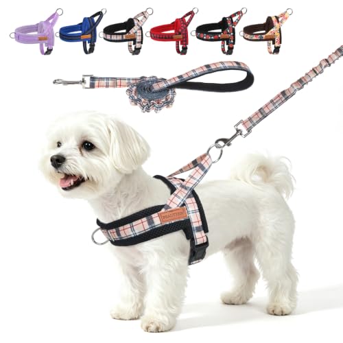 Small Dog Harness and Leash Set (Buffalo Beige / S: Chest 17.5"-22")