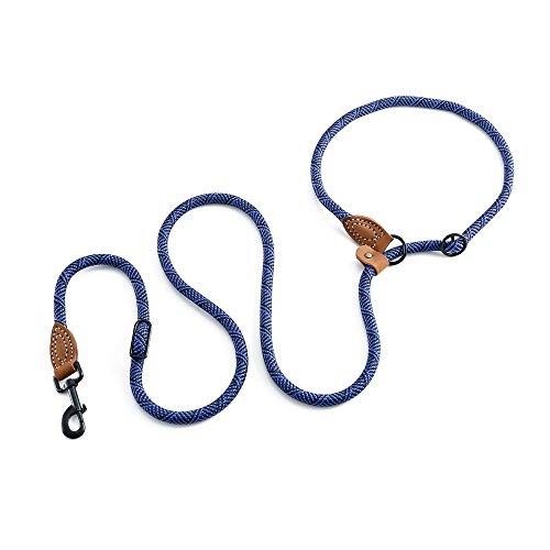 Hands Free Dog Leash (Blue / 8FT Hands Free)