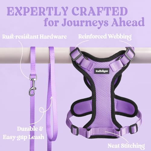 Cat Harness and Leash Set (M / Light Purple)