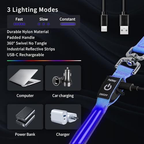 LED Dog Leash (Blue / 6 feet)