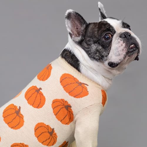 Pumpkin Dog Sweater (Large / Pumpkin)