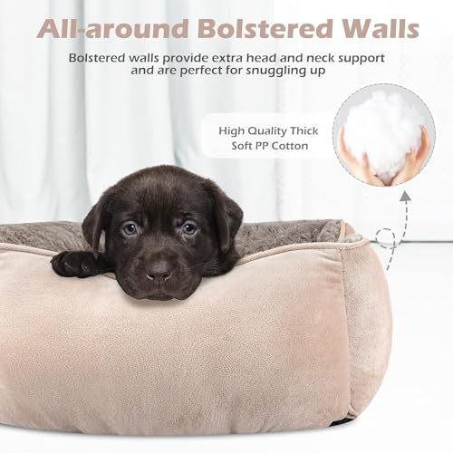 XX Large Dog Bed for Large (XXL(42"x 30"x 10") / Beige)