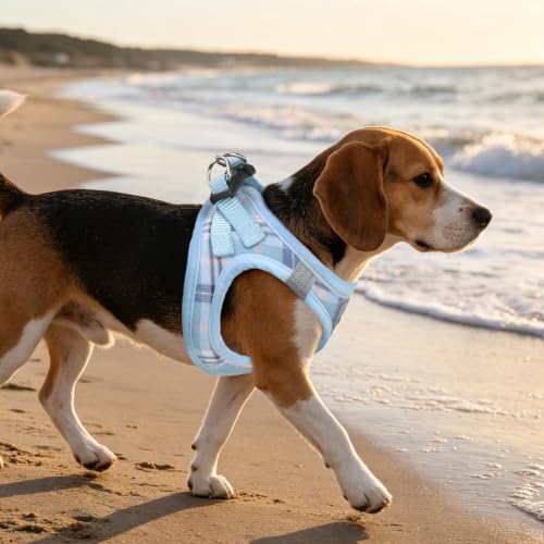 Dog Harness Collar and Leash Set No Pull for Small Medium Sized (Blue / M (CHEST 16"-18"))