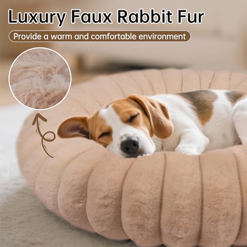 Donut Small Medium Dog Bed Washable Kitty & Puppy Bed (Brown / M(28*28*8))