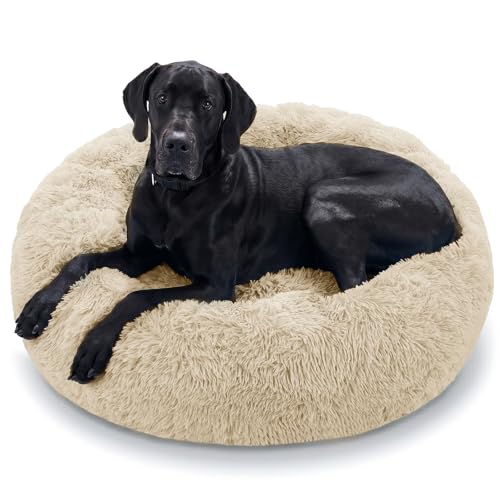 Dog Beds Large Sized Dog (45" / Off - White)
