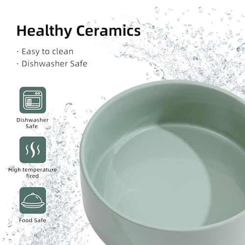 Ceramic Dog Bowls Elevated (Light Green)