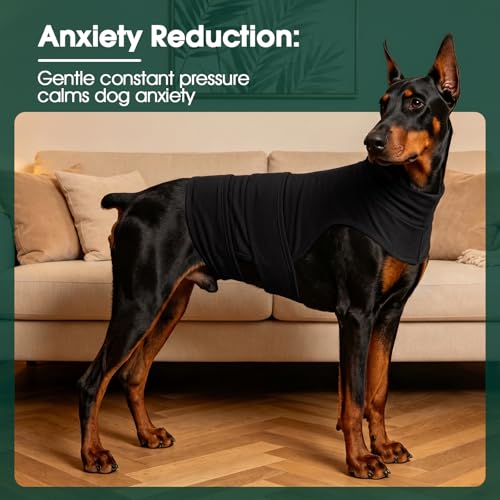 Dog Anxiety Vest (Midnight Calm / S (Chest 16.1-20"))