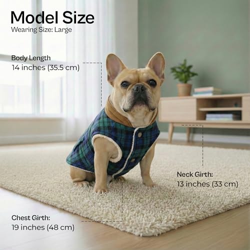 Dog Jacket Scottish Green Plaid Dog Winter Coat (L / Scottish Green)