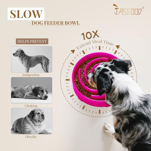 Slow Feeder Dog Bowl for Large Medium Dogs (Large / Hot pink)