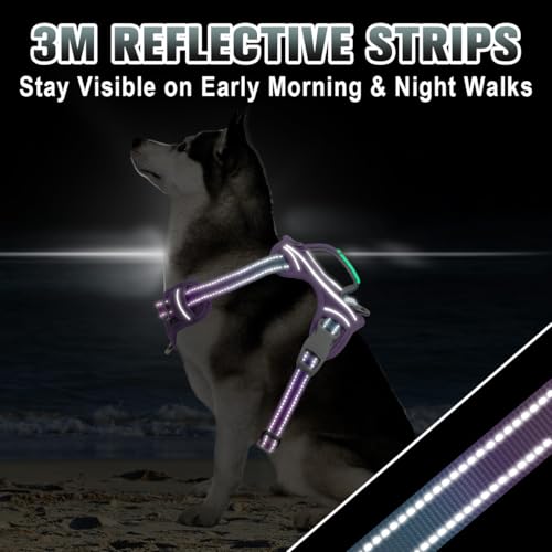 Dog Harness for Large Dogs No Pull Dog Vest ID Tag Pocket (Lavender Sky / Large)