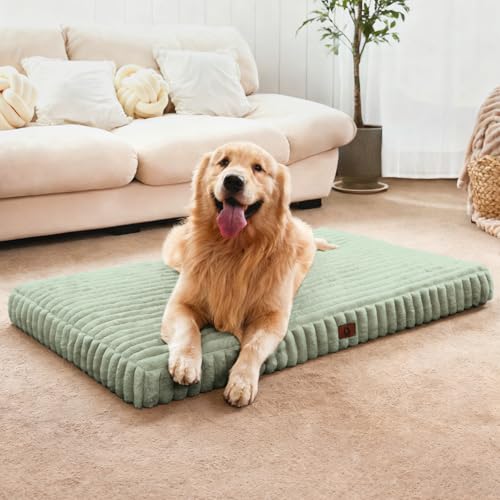 Extra Large Orthopedic Dog Crate Bed with Waterproof Lining (XL-Crate(41"*27"*4") / Light Green)